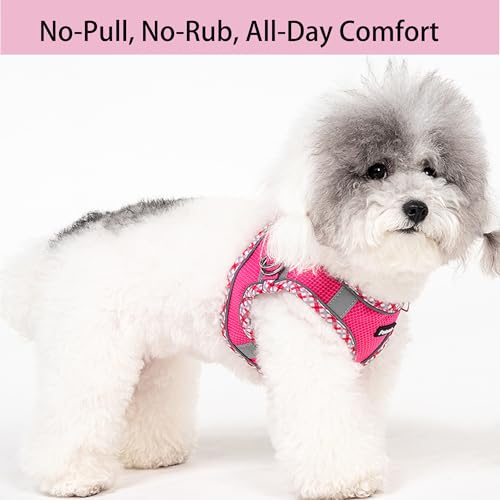 Petank Step in Dog Harness No Pull and Leash for Small Medium Dogs Cats. - color: Rose Red, size: M
