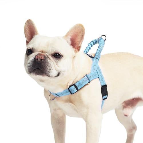 PUPTECK No Pull Dog Harness Small Sized Dog, Adjustable Reflective Pet Vest Harness with Bungee Handle, Escape Proof No Choke Harness for Small Dogs Walking Training, Sky Blue S - color: Sky Blue, size: S (NECK: 15"-17.5", CHEST: 18.5"-24")