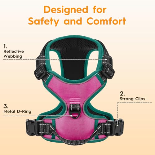 No Pull Dog Harness, No-Choke Soft Padded Reflective Dog Vest Harness with Front Clip & Top Handle, 2 Quick-Release Buckles, Adjustable for Small Medium Large Dogs - color: Pink/Turquoise, size: X-Small