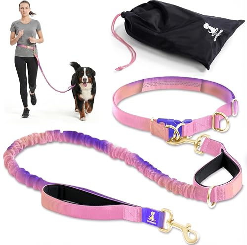 SparklyPets Hands Free Dog Leash, Medium & Large Breeds (Gradient Pink) - color: Gradient Pink, size: 1 dog M/L
