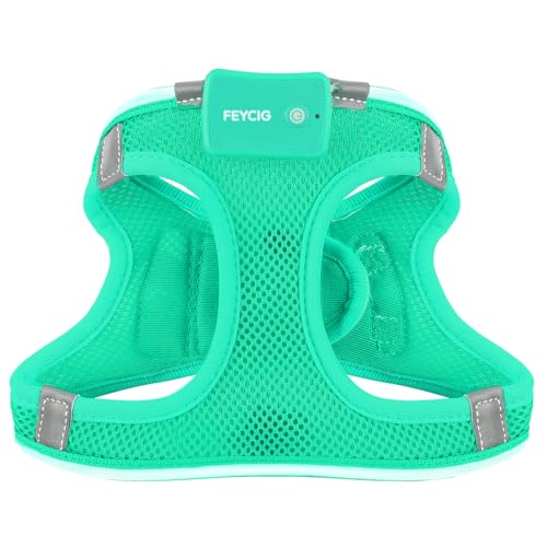 Light Up Dog Harness, Rechargeable LED Dog Harness for Small Medium Dogs - color: Light Green, size: M