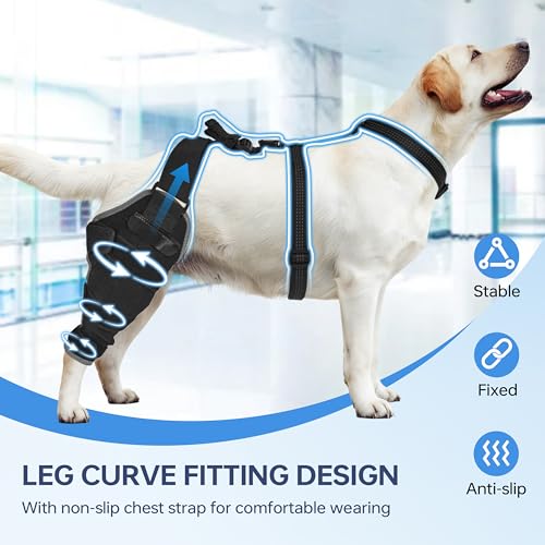 Kolmmeo Dog Knee Brace for Back Leg - Adjustable Breathable Canine Leg Wrap with Hot & Cold Gel Packs - Supports Large & Medium Dogs with Arthritis, Hip Dysplasia, ACL Injuries, Right Hind Leg (L)