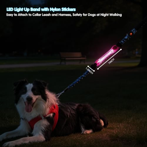 2 Pack LED Dog Leash Light, Hook & Loop for Leash Harness Collar - color: Blue + Pink