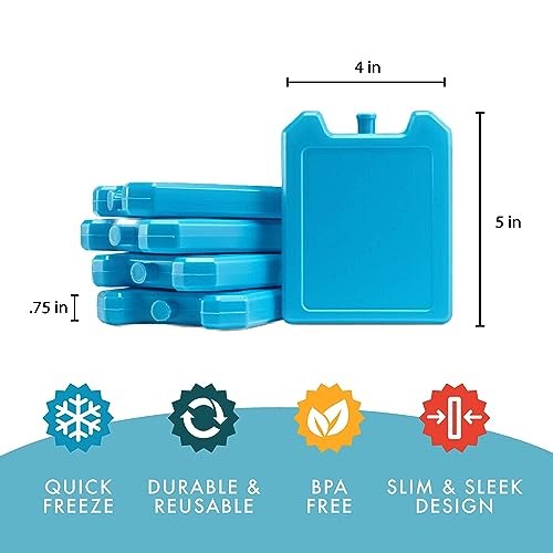 Fit & Fresh Cool Coolers 5pk Days of the Week Ice Blocks