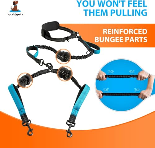 SparklyPets Hands Free Dual Dog Leash, Medium & Large (Gradient Blue) - color: Gradient Blue, size: 2 dogs M/L