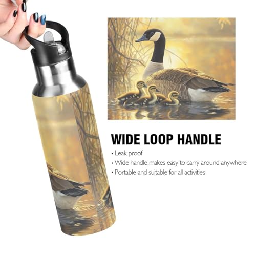 OTVEE Canada Geese and Goslings Water Bottle Sports Water Bottle Insulated Stainless Steel Hot Cold Water Mug with Straw Lid & Handle for Sports Gym 20 oz - color: Canada Geese and Goslings