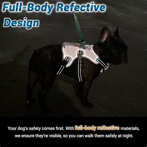 Escape Proof Dog Harness, No Escape No Pull Reflective Dog Harness with Durable Handle, Adjustable Heavy Duty Vest for Small Medium Large Dogs, Walking and Training (Black,XL) - color: Black, size: XL (Pack of 1)