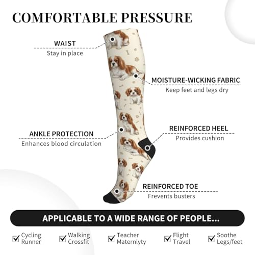 Cute Dog Compression Socks Women Men, Dog Lover Gift - color: King Charles Cavalier1