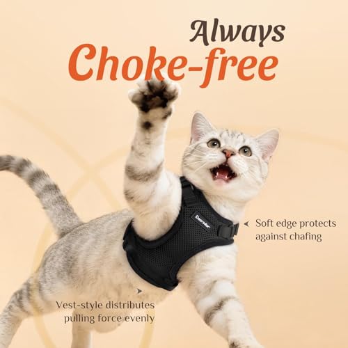 Dooradar Cat Harness and Leash Set, Adjustable and Escape Proof, S - color: Black, size: S