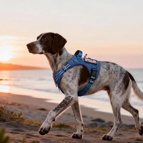 rabbitgoo Tactical Dog Harness Medium Sized, No Pull Service Pet Vest - color: Blue, size: M(chest:20.1"-33.9",neck:17.7"-22.3",back:7.5")