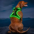 Light Up Dog Harness, Rechargeable LED Dog Vest for Night Walking - color: Black-Green, size: L