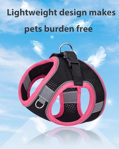 Small Dog Harness and Leash Set - Puppy Training Vest, Black, XXS - color: Black, size: Extra Extra Small