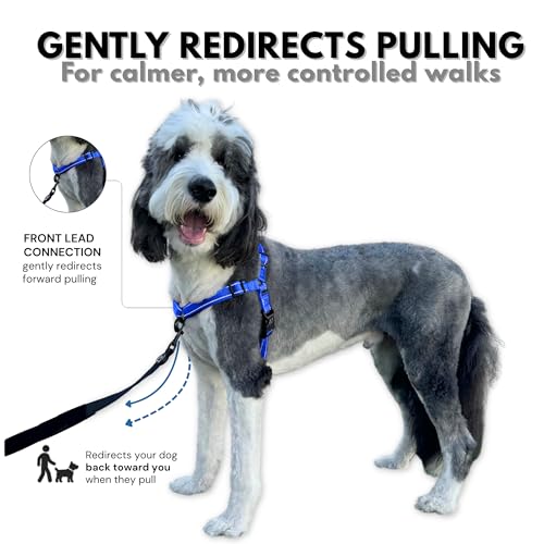 ShawnCo Dream Walk Pro No-Pull Dog Harness (Electric Blue, Small) - color: Electric Blue, size: Small