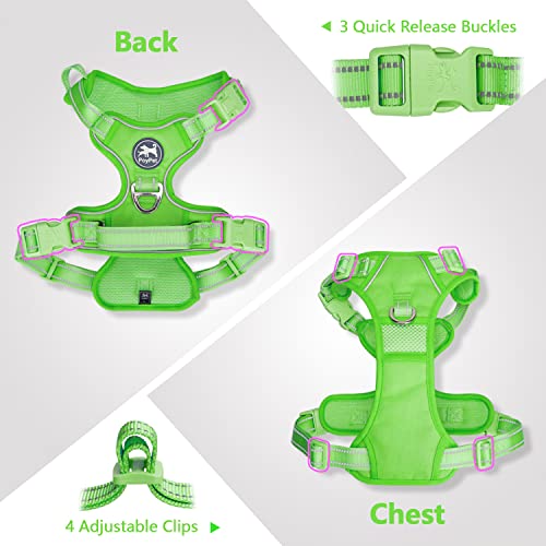 PoyPet No Pull Dog Harness, Reflective Vest with 2 Leash Clips & Handle - color: Green(Matching Trim), size: S