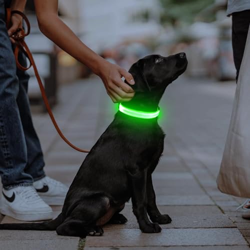 Illumifun LED Dog Collar, USB-C Rechargeable Light Up Collar Glow in Dark, Adjustable Pet Safety Lights for Night Walking Camping (Green, Large) - color: Green, size: Large