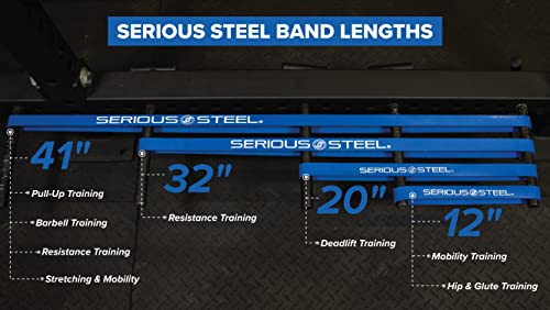 Serious Steel Fitness 32" Resistance Training Bands (Portable Exercise Band System Training Bands- Great for Individuals Under 5'10") - color: #3 Blue (25-80 lbs.)