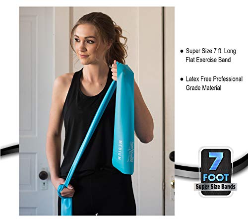 Mini Loop + Flat Resistance Band 5 Set, Latex Free - color: b. MEDIUM STRENGTH SKY BLUE Set