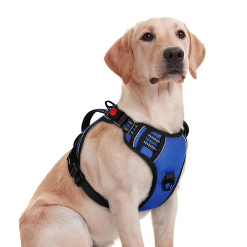 rabbitgoo Large Dog Harness, Easy Wear with 3 Buckles and Lift Handle - color: Blue, size: Medium