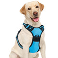 Dog Harness, No Pull Pet Vest for Large Dog, Easy On & Off, Blue, Medium - color: Blue, size: Medium