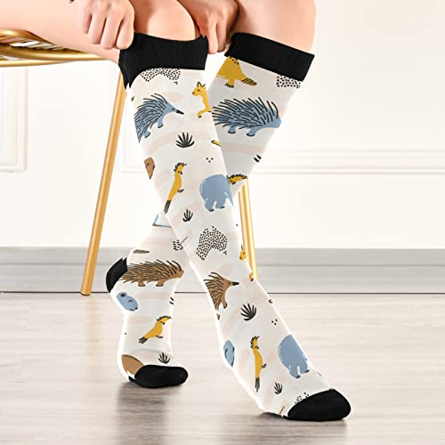 OTVEE Australia Animals Kangaroo Koala Compression Socks Women & Men, 2 Pairs Gym Running Hiking Sport Knee High Stockings