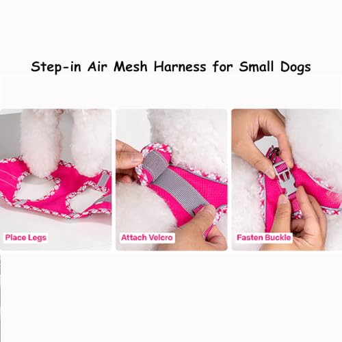 Petank Step in Dog Harness No Pull and Leash for Small Medium Dogs Cats. - color: Rose Red, size: M