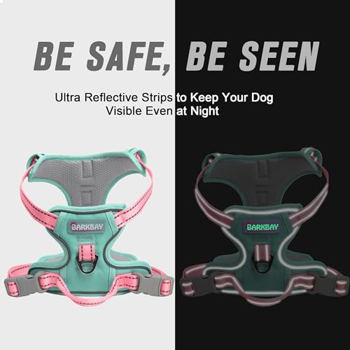 BARKBAY Dog Harness No Pull for Small Sized Dog Front Back Clips,Dog Vest - color: Cool Mint & Baby Pink, size: X-Small(Chest:15.5-19.5”)