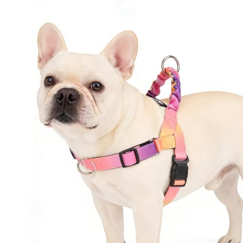 PUPTECK No Pull Dog Harness Small Sized Dog, Adjustable Reflective Pet Vest Harness with Bungee Handle, Escape Proof No Choke Harness for Small Dogs Walking Training, Pink & Purple S - color: Pink & Purple, size: S (NECK: 15"-17.5", CHEST: 18.5"-24")