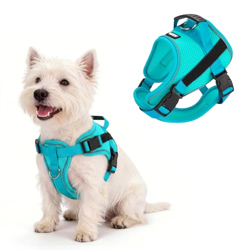 AIITLE No-Pull Dog Harness Reflective Mesh Vest Adjustable, Green L - color: Green, size: L