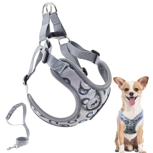 Dog Harness with Leash Set, No Pull Adjustable Step in Pet Vest - color: Gray-2, size: XS