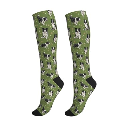 Cute Dog Compression Socks Women Men, Dog Lover Gift - color: Border Collie