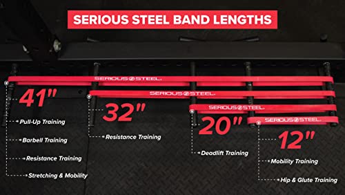Serious Steel Fitness 32" Resistance Training Bands (Portable Exercise Band System Training Bands- Great for Individuals Under 5'10") - color: #2 Red (10-50 lbs.)
