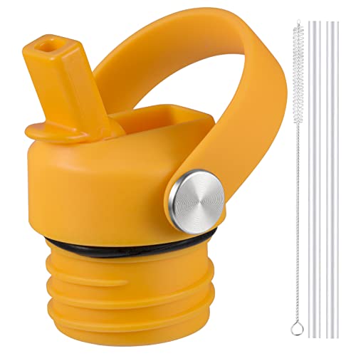 RRegeny Straw Lid fits Hydro Flask Standard Mouth, 21 24 oz, Sports Flex Cap Water Bottle Accessories Replacement Top - color: starfish orange+1pack