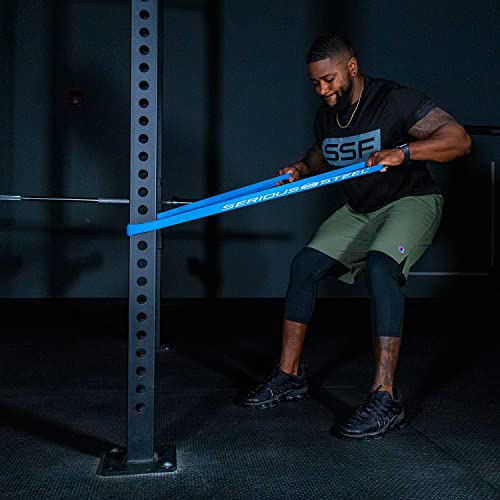 Serious Steel Fitness 32" Resistance Training Bands (Portable Exercise Band System Training Bands- Great for Individuals Under 5'10") - color: #3 Blue (25-80 lbs.)