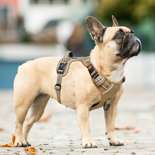 HEELE Dog Harness, Soft Padded, Neck Release Buckles,Easy On & Off, Brown S - color: Lock Brown, size: S (Pack of 1)