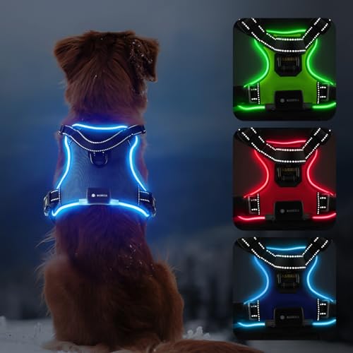 MASBRILL Led Dog Harness - Rechargeable Illuminated & Reflective No Pull Glow Vest for Small - Large Dogs - color: Blue, size: XL