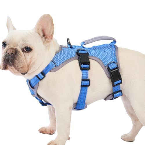 Huntboo Escape Proof Dog Harness, Dachshund Harness, Reflective Dog Harness with Handle, Durable,Adjustable Vest for Small Medium Large Dogs Walking, Training, and Running Gear (Sea Blue,M) - color: Sea Blue, size: Medium(Pack of 1)