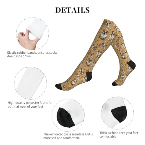Cute Dog Compression Socks Women Men, Dog Lover Gift - color: English Bulldog