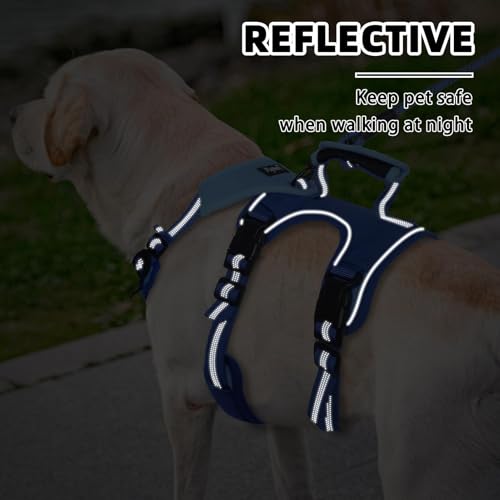 PUPTECK Escape Proof Dog Harness and Leash Set Upgraded No Pull Reflective Dog Vest with Lift Handle, Easy Control Pet Harness for Medium Large Dogs Training Walking Running, Blue, L - color: Blue/Sky, size: Large
