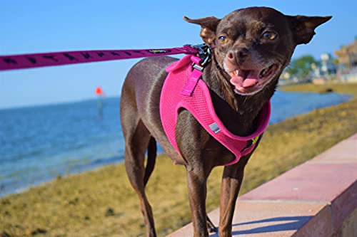 EcoBark Step in Dog Harness, Pink, X-Small, Tiny Soft Mesh Toy Breed - color: Pink, size: XS- 5 to 6 lbs- Chest Up to 13 in (Pack of 1)