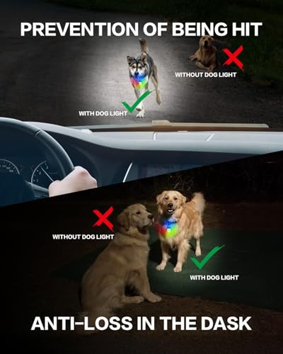 Dog Collar Light 2 Pack, Dog Lights for Night Walking 4 Modes, Waterproof Dogs Light Clip on Rechargeable, LED Dogs Walking Lights for Night Running, Camping, Climbing, Bike - color: RGB