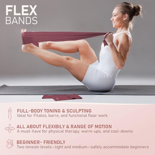 PhysKcal Pilates Kit, 15-Inch Pilates Ring with 1x Pilates Ball & 5X Bands - color: Plum