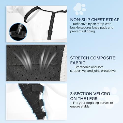 Kolmmeo Dog Knee Brace for Back Leg - Adjustable Breathable Canine Leg Wrap with Hot & Cold Gel Packs - Supports Large & Medium Dogs with Arthritis, Hip Dysplasia, ACL Injuries, Right Hind Leg (L)