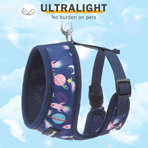 SCENEREAL Small Dog Harness and Leash Set, No Pull Puppy Harness - color: Navy-Starry Night, size: M: Chest Girth: 17"-21"