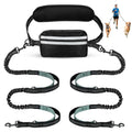Hands Free Dog Leash for Two Dogs Walking, Running - color: Grey-Green, size: Large
