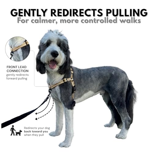 ShawnCo Dream Walk Pro No-Pull Dog Harness (Driftwood, Large) - color: Driftwood, size: Large