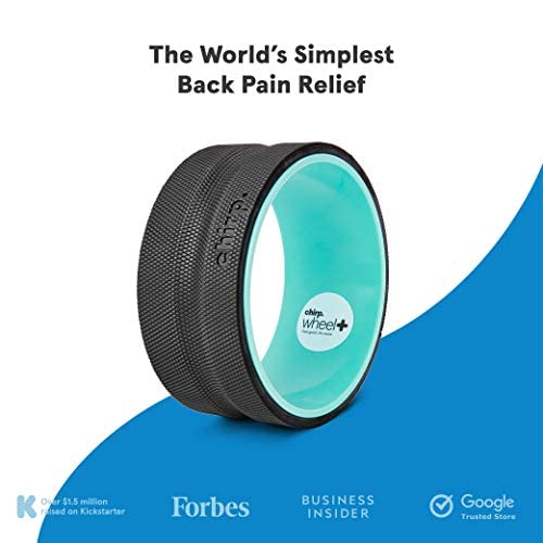 Chirp Wheel+ Foam Roller, Back & Neck Pain Relief, Mint 10-Inch - size: 10" - Medium