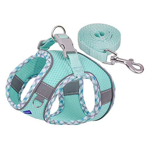 Step in Mesh Dog Harness and Leash Set Breathable Air Mesh Harness - color: Green, size: L(neck:13.5"-15.5",chest:18"-19.5")