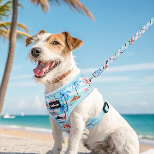 SCENEREAL Small Dog Harness and Leash Set, Coconut Tree, XS - color: Blue-Coconut Tree, size: XS: Chest Girth: 10"-14"