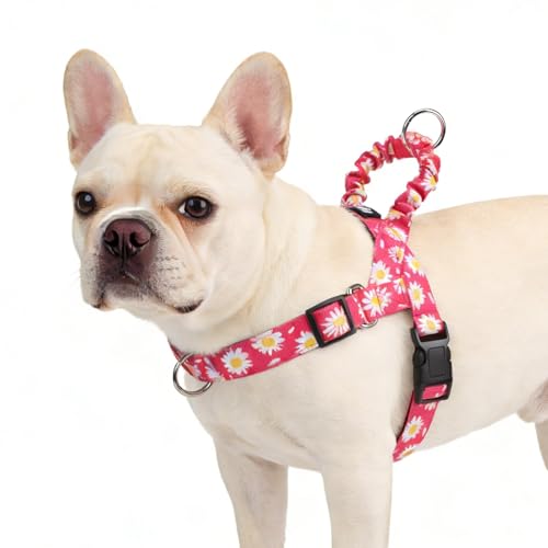 PUPTECK No Pull Dog Harness Small Sized Dog, Adjustable Reflective Pet Vest Harness with Bungee Handle, Escape Proof No Choke Harness for Small Dogs Walking Training, Fuschia Daisy S - color: Fuschia, size: S (NECK: 15"-17.5", CHEST: 18.5"-24")