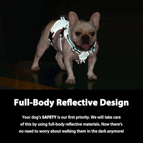 Huntboo Escape Proof Dog Harness, Dachshund Harness, Reflective Dog Harness with Handle, Durable,Adjustable Vest for Small Medium Large Dogs Walking, Training, and Running Gear (Mint Green,S) - color: Mint Green, size: Small(Pack of 1)